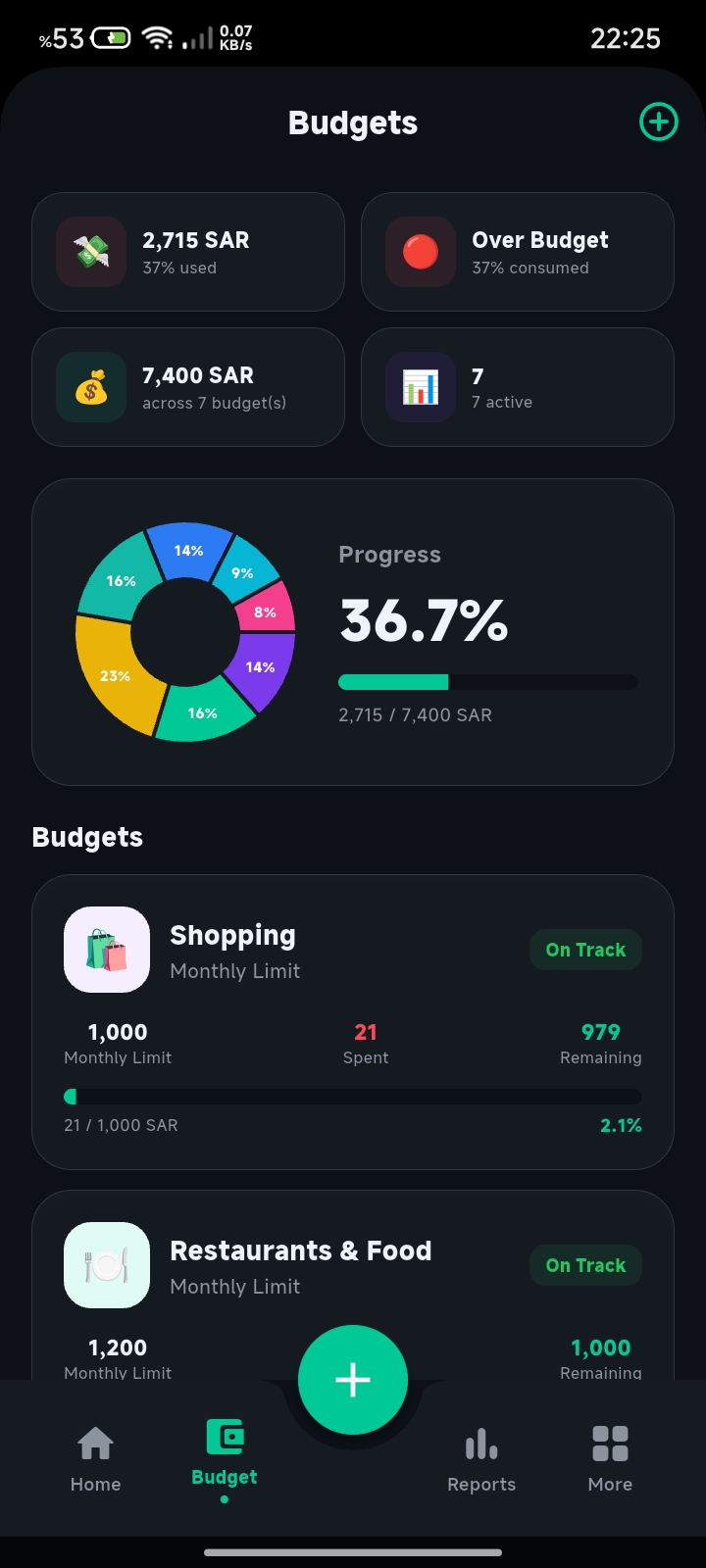 Category Budgets & Progress